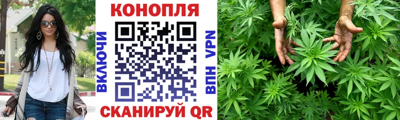 Бошки марихуана Amnesia  Купить закладки  Пионерский 